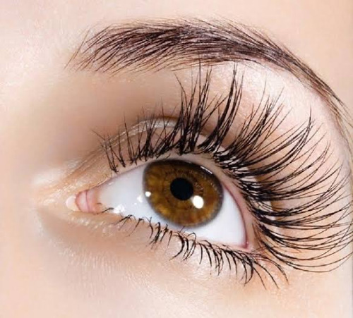 Lash Lash Pestañas Largas Gruesas Dermaheal
