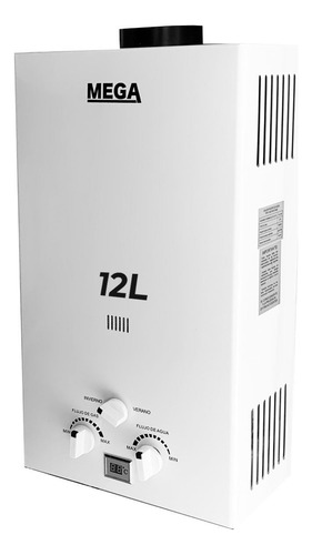 Calefon Instantáneo Mega 10lts Tiro Natural-ynter Industrial