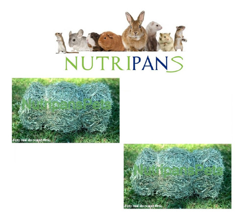 Feno Coast Cross Premium Coelhos Roedores E Mini Pigs 2kg