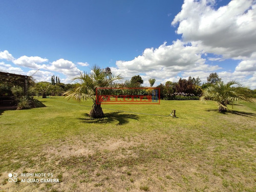 Imagen 23 de 30 de Venta De Chacra Sobre Ruta 9 A 30 Km De Jose Ignacio