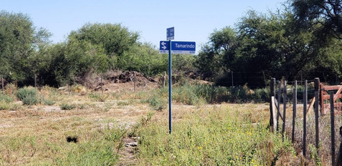 Imagen 6 de 6 de Lote De 532 M2 En Estación Conlara