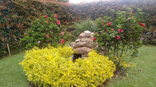 Imagen 4 de 28 de Venta Casa Campestre En Llanogrande Rionegro, 1 Nivel, Moderna