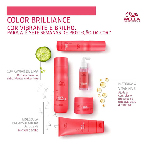 Kit Shampoo E Máscara Invigo Color Brilliance Wella