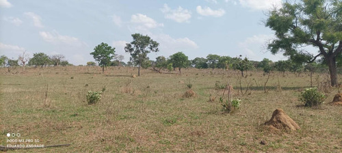 Imagem 10 de 13 de Fazenda Município De Comendador Gomes