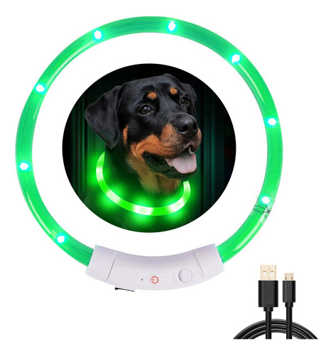 Collar Led Mascota Recargable Por Usb Resistente Y Ajustable