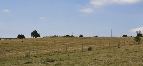 Campo En Ruta 60, Calera Del Rey