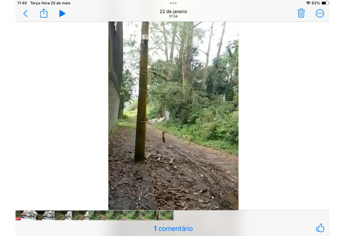 Terreno Em São Bernardo Do Campo Sp