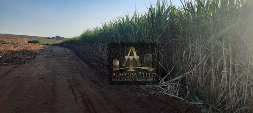 Imagem 12 de 16 de Excelente Fazenda Para Venda Na Cidade De Tatuí - Sp - Confira!!!! - Fa0047