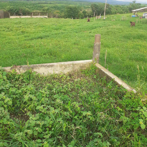 Imagen 3 de 26 de Finca En Venta Vía Cordero El Cuji Ksanchez