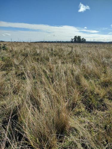 Hectareas En Venta En Oliden