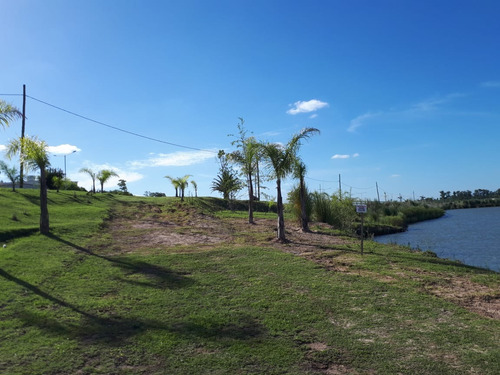 Lotes En Barrio Los Juncos 