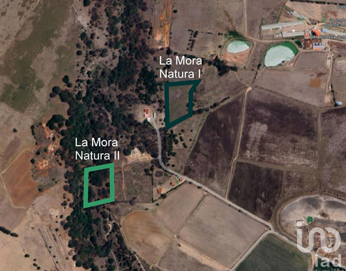 Venta Terreno 0 Ambiente La Mora