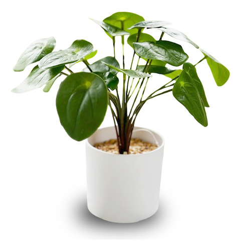 Planta Pilea Deco Plantas Artificiales Con Piedras Maceta 