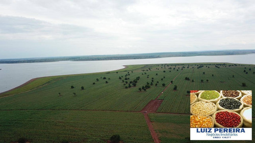 Imagem 2 de 8 de Fazenda À Venda Em Quirinópolis - Go - Com Plantio De Cana (agricultura) - 1624