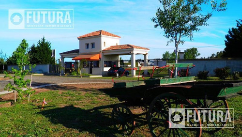 Imagen 16 de 19 de Terreno En Venta En Barrio Privado Pinares Del Sur Lote 63