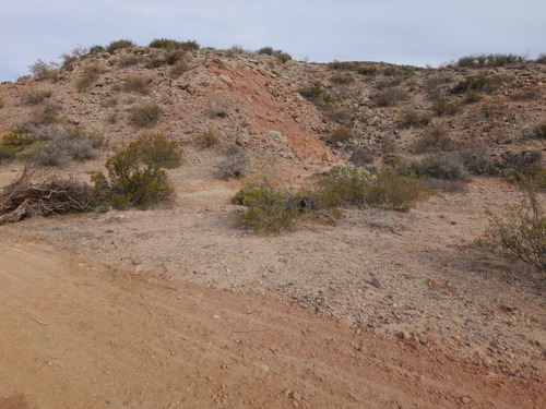 Lote En Neuquén - Loteo Sauro Ecoestancias Del Limay - Lotes Desde 1000 M2