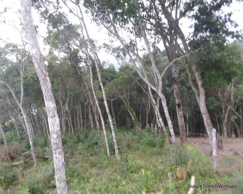 Imagem 12 de 15 de Terreno - 03870 - 33228930