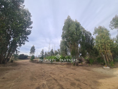 Algarrobo, Se Arrienda Bella Casa En Parcela.