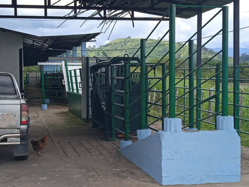 Imagen 5 de 17 de Venta Espectacular Finca San Cristobal, Estado Tachira