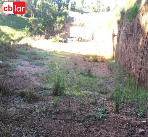 Imagem 7 de 15 de Terreno - Te00153 - 69909909