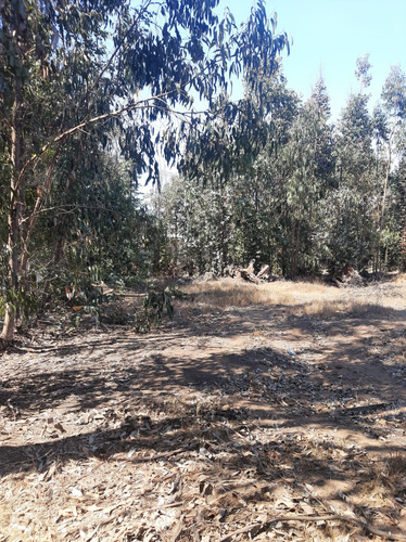 Vendo Terreno En Ritoque V Región, Rol Propio.