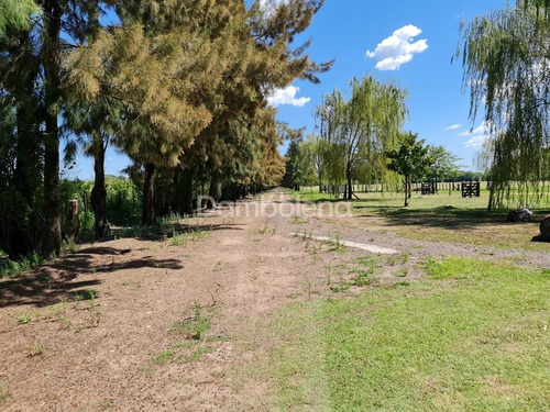 Imagen 16 de 28 de Terreno Fraccion En Venta Ubicado En General Rodríguez, G.b.a. Zona Oeste