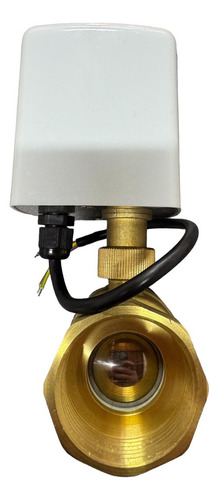 Válvula Motorizada Esfera Eletrica 1-1/2 Polegadas 24v