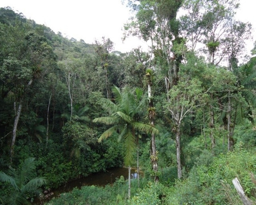 Imagem 10 de 13 de Sitio Em Juquitiba Sp; Sitio À Venda Juquitiba; - 251 - 32982557