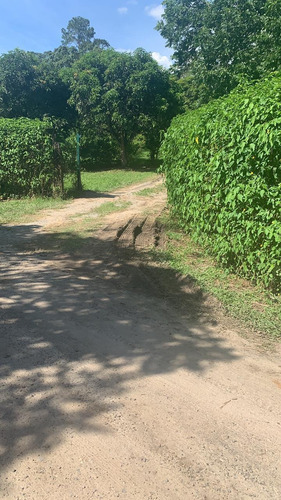 Imagem 3 de 14 de 01- Terrenos Documentados Na Frente Da Represa Em Igaratá !