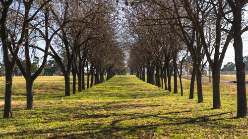 Terreno En Barrio Parque Glenmore, Pilar Del Este