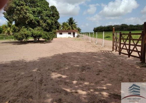 Imagem 20 de 20 de Granja Mobiliada A Venda Lagoa Do Bonfim