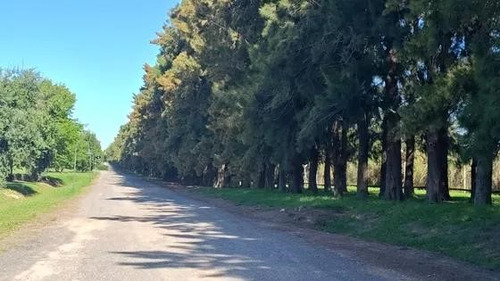Terreno Lote En Venta En El Campo - Fincas Exclusivas Cardales, Campana, G.b.a. Zona Norte