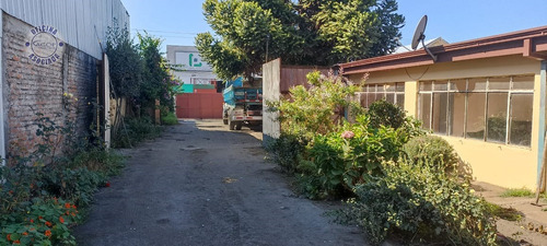 Sitio En Janequeo En Concepción