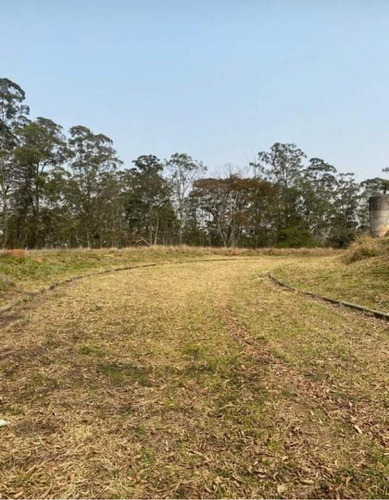 Imagem 2 de 10 de Terrenos Na Região Do Jaceguava