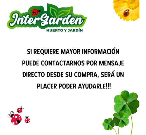 Kit Exterminador Fiprax+ Diatomeas+ Atomizador 1lt