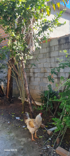 Casa Com 3 Quartos , Sala , Cozinha E Estrutura.