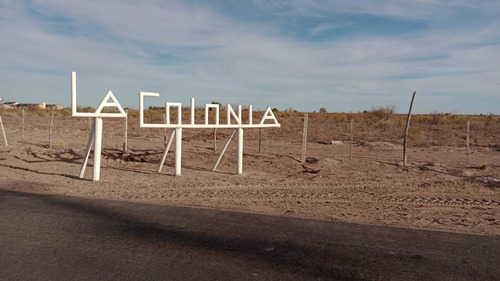 Venta Finca Monte Caseros San Martin. Mendoza