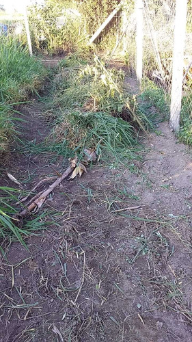 Imagem 6 de 12 de Terreno De Chacará Colina 2 Monte Mor - Vendo Ou Troco