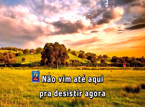 Karaokê Profissional Para Pc