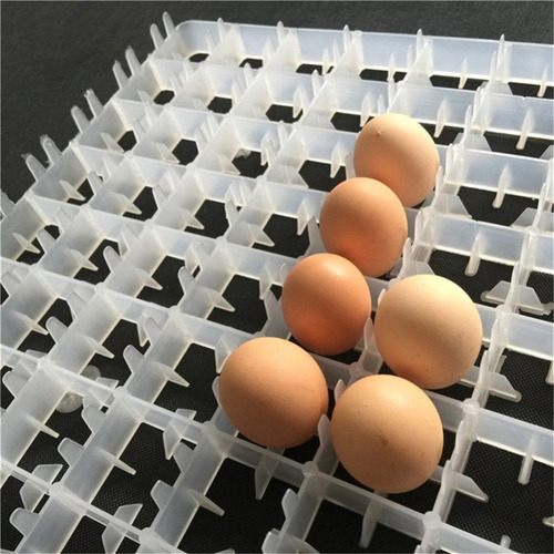 Imagen 2 de 9 de Bandeja Para Incubadora De Huevos