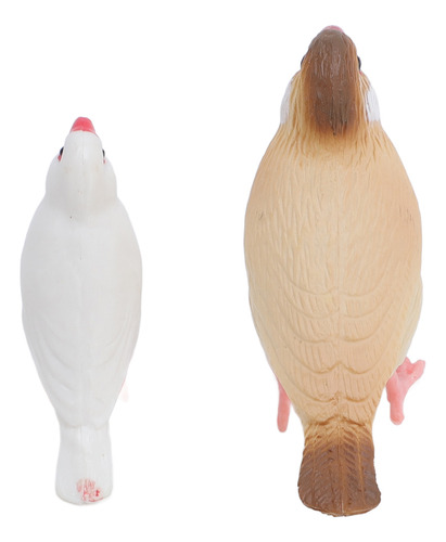 Figuras Educativas De Pvc Sobre El Ciclo De Vida De Aves, 4