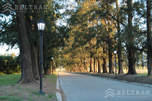Terreno - Pueblo Esther