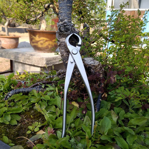 Tijeras De Jardinería, Tijeras De Acero Inoxidable Bonsai T