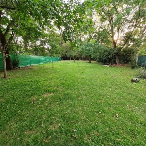 Imagen 2 de 4 de Hermoso Lote Udaondo! 823 Metros.