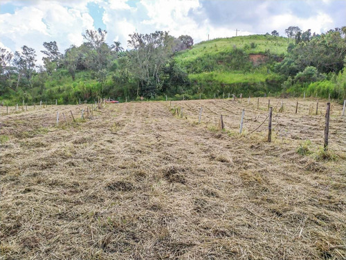 Imagem 6 de 14 de Atibaia 800 M² Escriturado Ac/ Veículos | Lp0055