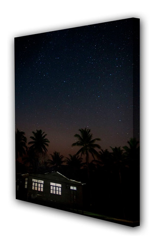 Cuadro 60x90cm Noche Estrella Casa Cielo M1