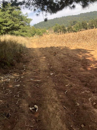 Imagen 10 de 24 de Terreno En Venta En Amanalco De Becerra, Amanalco, Edo. De México.