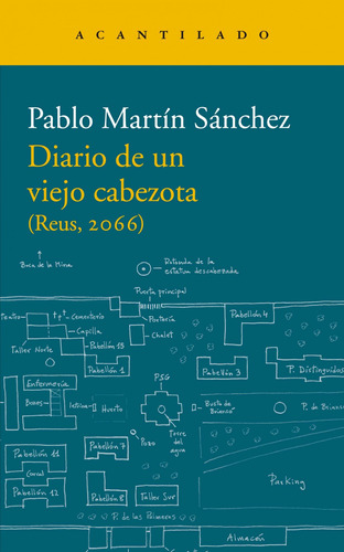 Libro Diario De Un Viejo Cabezota - Martin Sanchez, Pablo