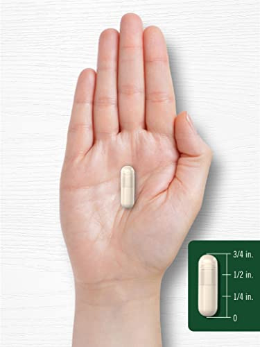Suplemento Carlyle Parsley Leaf, Cápsulas De 1200 Mg, 300 Un