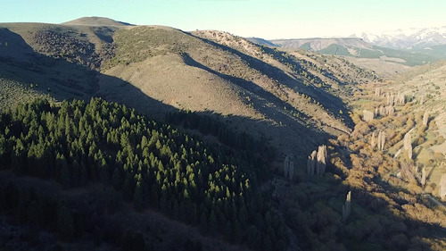Ruta 23 2300, Aluminé, Aluminé, Neuquén